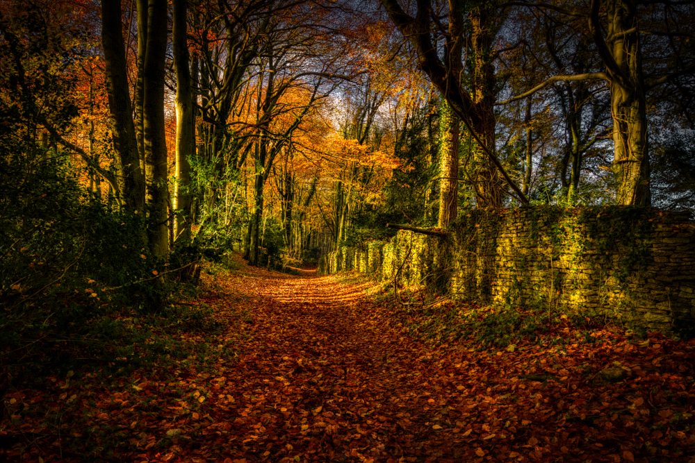 And Cranham, Cranham trees, And blaze of Autumn hues