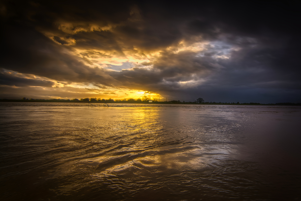 Do not forget me quite, O Severn meadows.