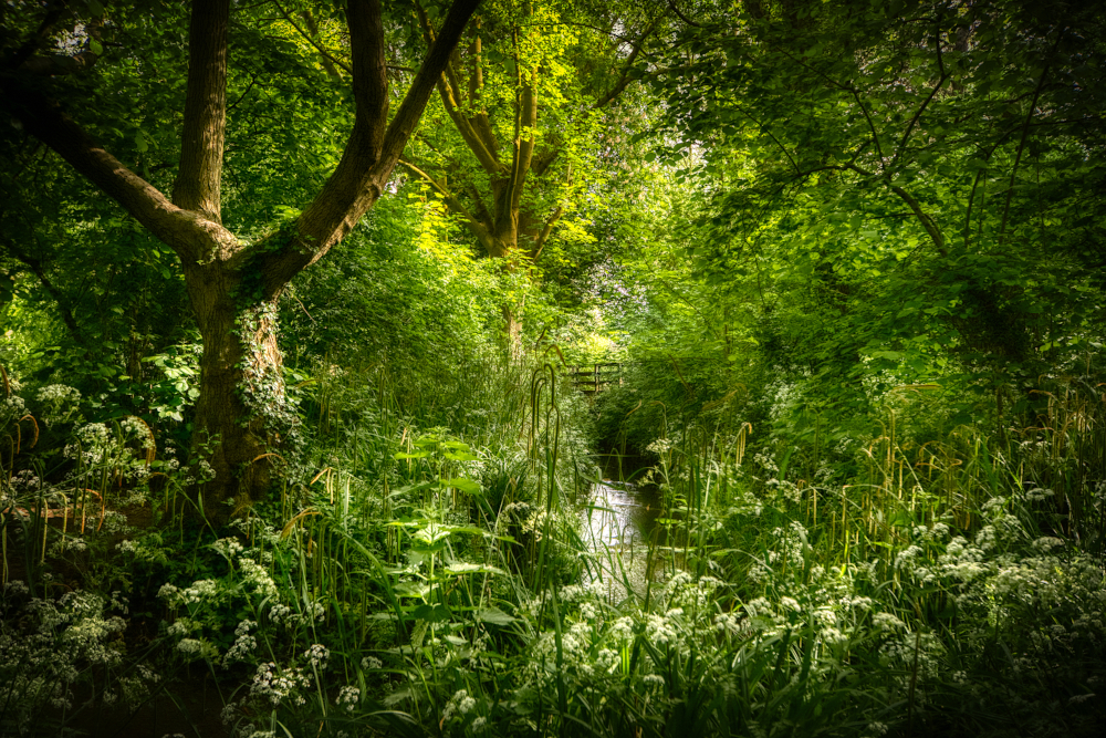 Wotton Brook at Wotton, the city's eastern boundary from 1874 until 1935, now deep inside city